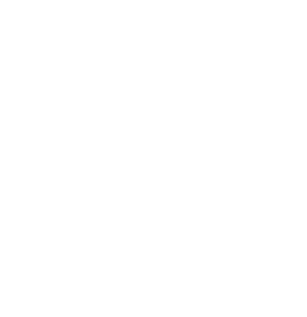 Chase New Homes - logo